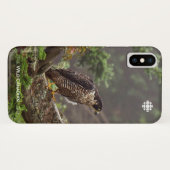 Herbst - Peregrine Falcon Case-Mate iPhone Hülle (Rückseite (Horizontal))