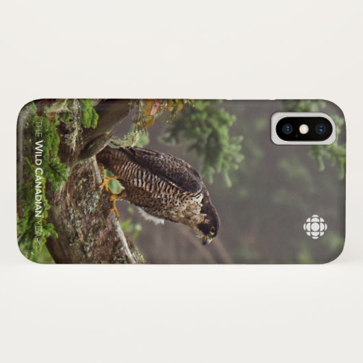 Herbst - Peregrine Falcon Case-Mate iPhone Hülle (Rückseite (Horizontal))