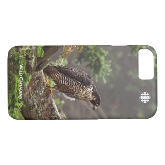 Herbst - Peregrine Falcon Case-Mate iPhone Hülle (Rückseite (Horizontal))