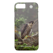 Herbst - Peregrine Falcon Case-Mate iPhone Hülle (Rückseite)