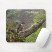 Herbst - Peregrine Falcon Mousepad (Mit Mouse)