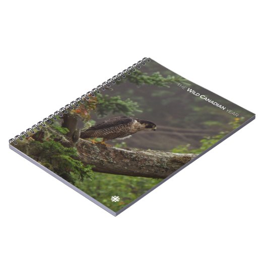 Herbst - Peregrine Falcon Notizblock (Linke Seite)