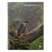 Herbst - Peregrine Falcon Notizblock (Vorderseite)