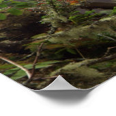 Herbst - Peregrine Falcon Poster (Ecke)