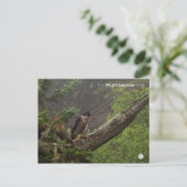 Herbst - Peregrine Falcon Postkarte (Stehend Vorderseite)