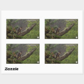 Herbst - Peregrine Falcon Rechteckiger Aufkleber (Blatt)