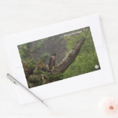 Herbst - Peregrine Falcon Rechteckiger Aufkleber (Umschlag)