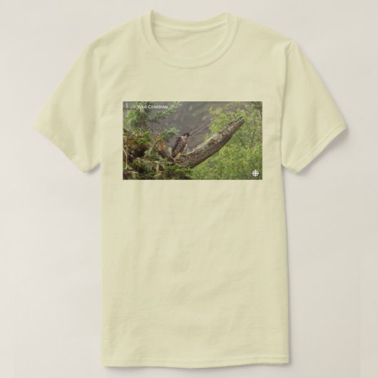 Herbst - Peregrine Falcon T-Shirt (Design vorne)