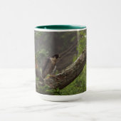 Herbst - Peregrine Falcon Tasse (Zentrum)