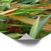 Herbst Poster (Ecke)