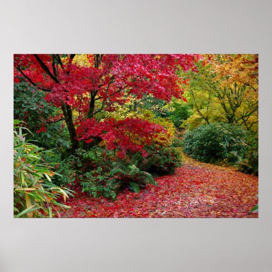 Herbst Poster (Vorne)