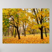 Herbst Poster (Vorne)