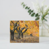 Herbst Postkarte (Stehend Vorderseite)