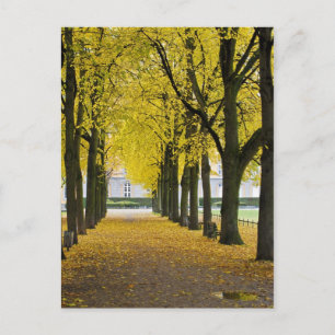 Herbst Postkarte