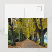 Herbst postkarte (Vorne/Hinten)