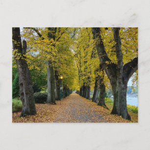 Herbst postkarte