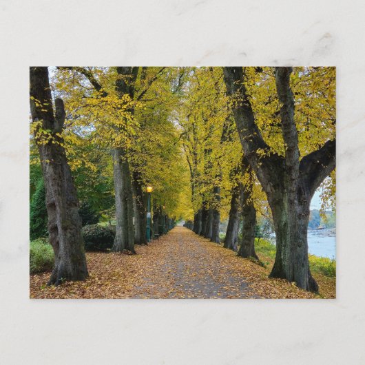 Herbst postkarte (Vorderseite)