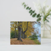 Herbst postkarte (Stehend Vorderseite)