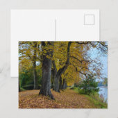 Herbst postkarte (Vorne/Hinten)