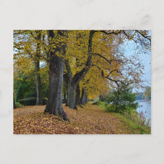 Herbst postkarte (Vorderseite)