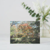 Herbst Postkarte (Stehend Vorderseite)