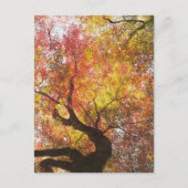 Herbst Postkarte (Vorderseite)
