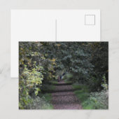 Herbst postkarte (Vorne/Hinten)