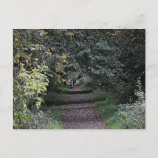 Herbst postkarte (Vorderseite)