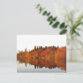 Herbst Postkarte (Stehend Vorderseite)