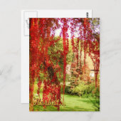 Herbst Postkarte (Vorne/Hinten)