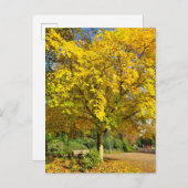 Herbst Postkarte (Vorne/Hinten)