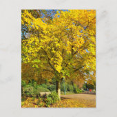 Herbst Postkarte (Vorderseite)