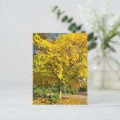 Herbst Postkarte (Stehend Vorderseite)