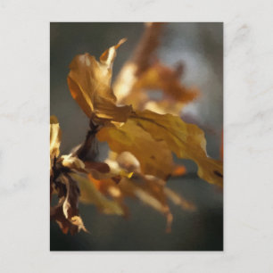 Herbst Postkarte