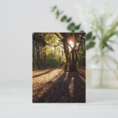 Herbst | postkarte (Stehend Vorderseite)