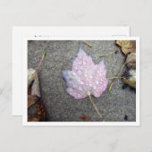 Herbst Postkarte (Vorne/Hinten)