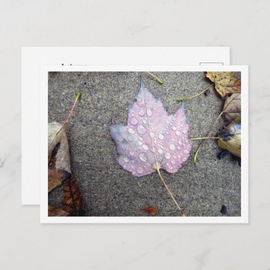 Herbst Postkarte (Vorne/Hinten)