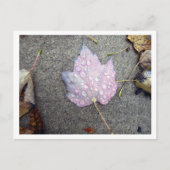 Herbst Postkarte (Vorderseite)