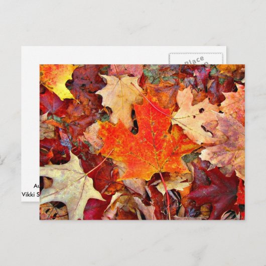 Herbst Postkarte (Vorne/Hinten)