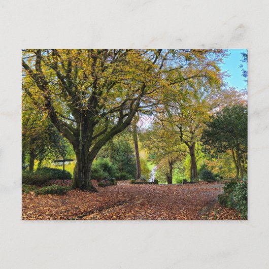 Herbst Postkarte (Vorderseite)