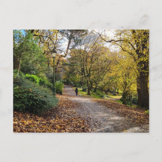 Herbst Postkarte (Vorderseite)