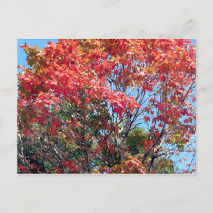 Herbst... Postkarte
