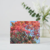 Herbst... Postkarte (Stehend Vorderseite)