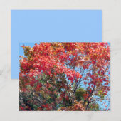 Herbst... Postkarte (Vorne/Hinten)