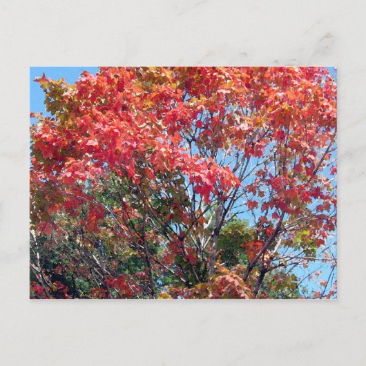 Herbst... Postkarte (Vorderseite)