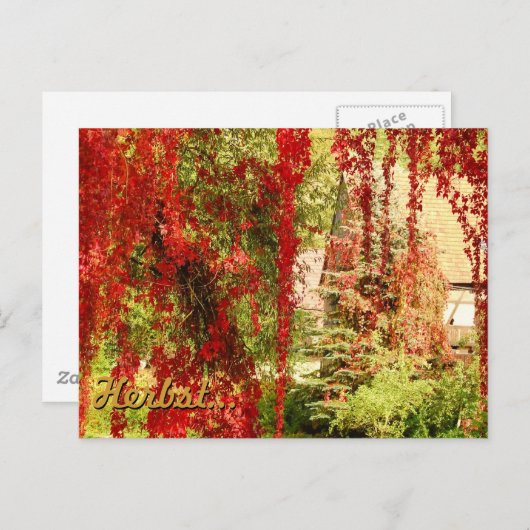 Herbst Postkarte (Vorne/Hinten)