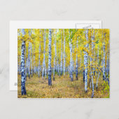 Herbst Postkarte (Vorne/Hinten)