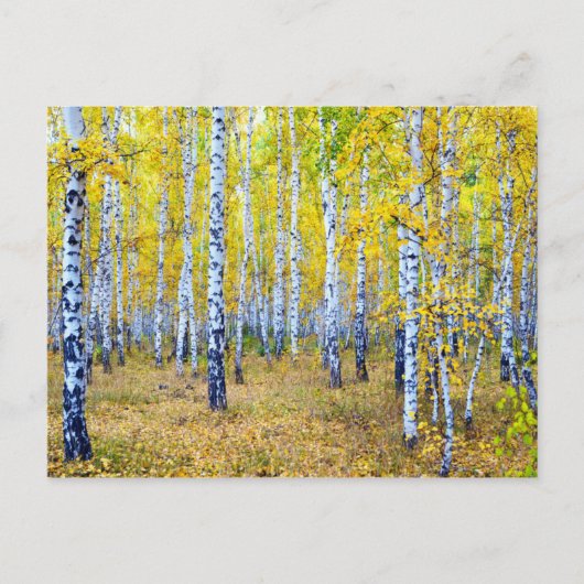 Herbst Postkarte (Vorderseite)