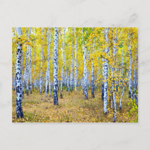 Herbst Postkarte