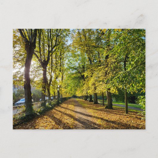 Herbst Postkarte (Vorderseite)